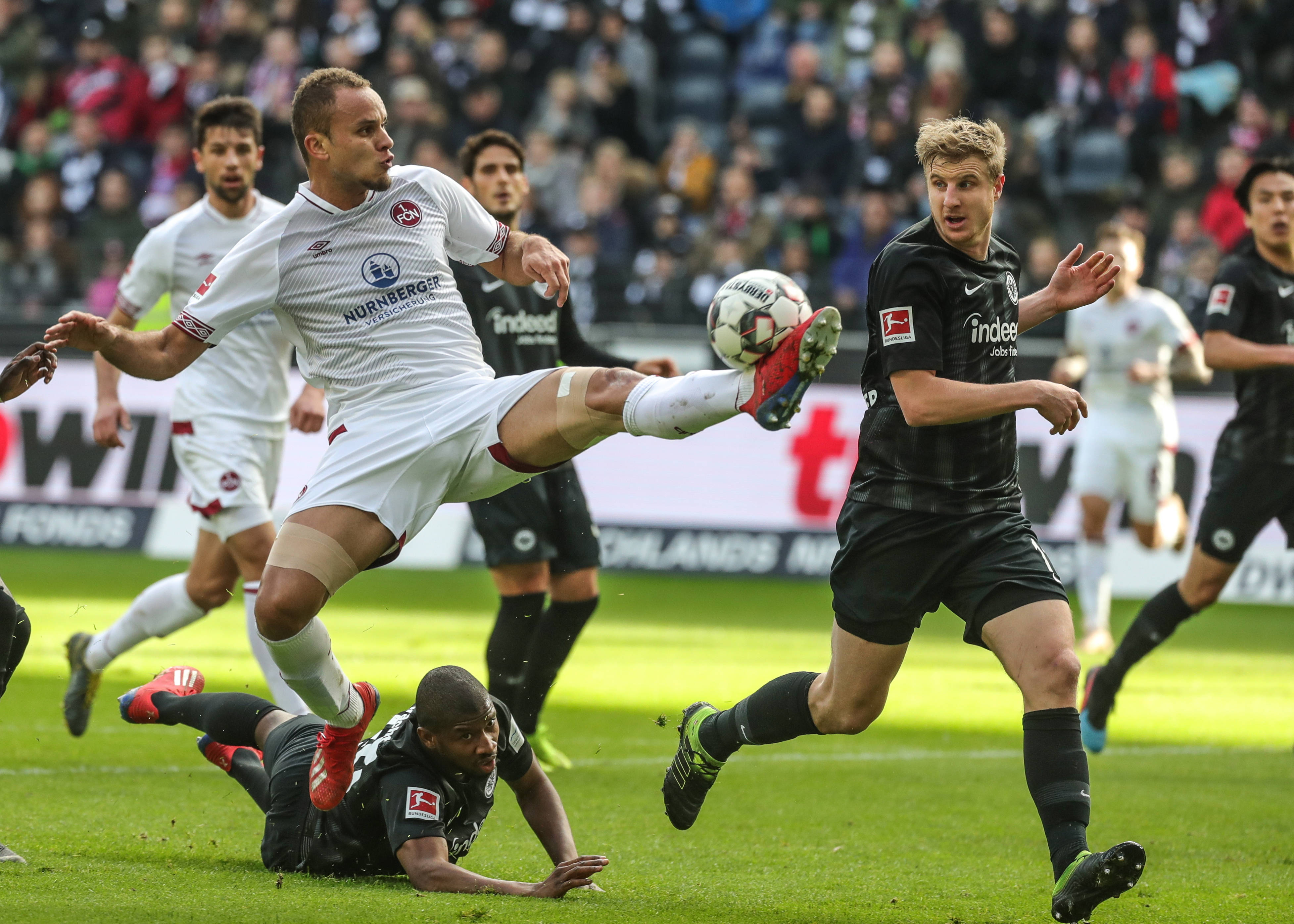 不仅展示了 不仅展示了