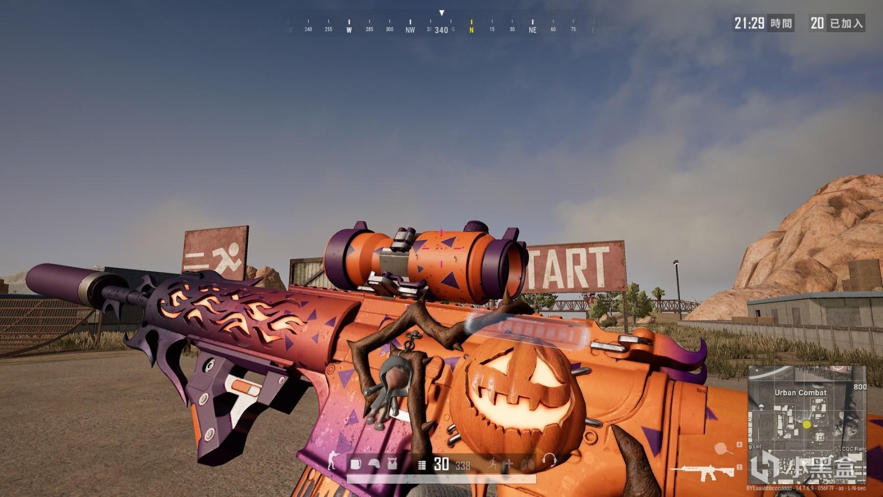 雄狮队的主 雄狮队的主