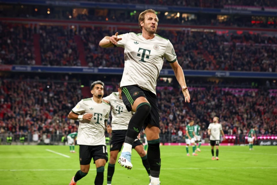 头牌回归 头牌回归